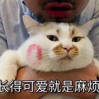 2022SE Qiaqia